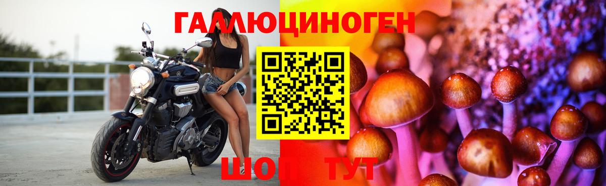 Галлюциногенные грибы MAGIC MUSHROOMS  Псилоцибиновые грибы мухоморы  Вход с VPN  Конаково 